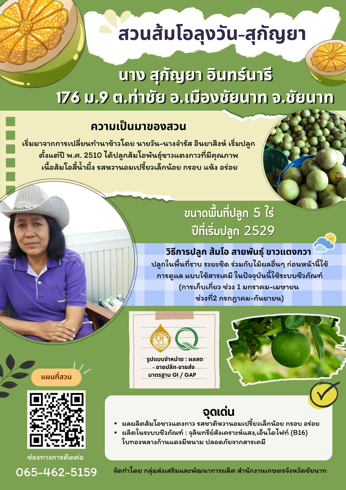 สวนส้มโอลุงวัน-สุกัญยา (ส้มโอขาวแตงกวา : ผลไม้ GI ของดีประจำจังหวัดชัยนาท)
