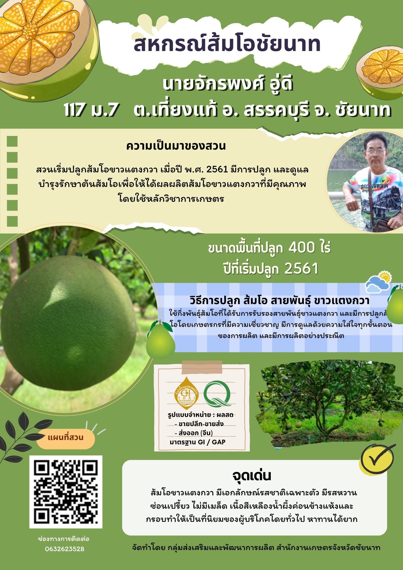 สหกรณ์ส้มโอชัยนาท (ส้มโอขาวแตงกวา : ผลไม้ GI ของดีประจำจังหวัดชัยนาท)