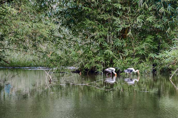 สถานที่ท่องเที่ยว