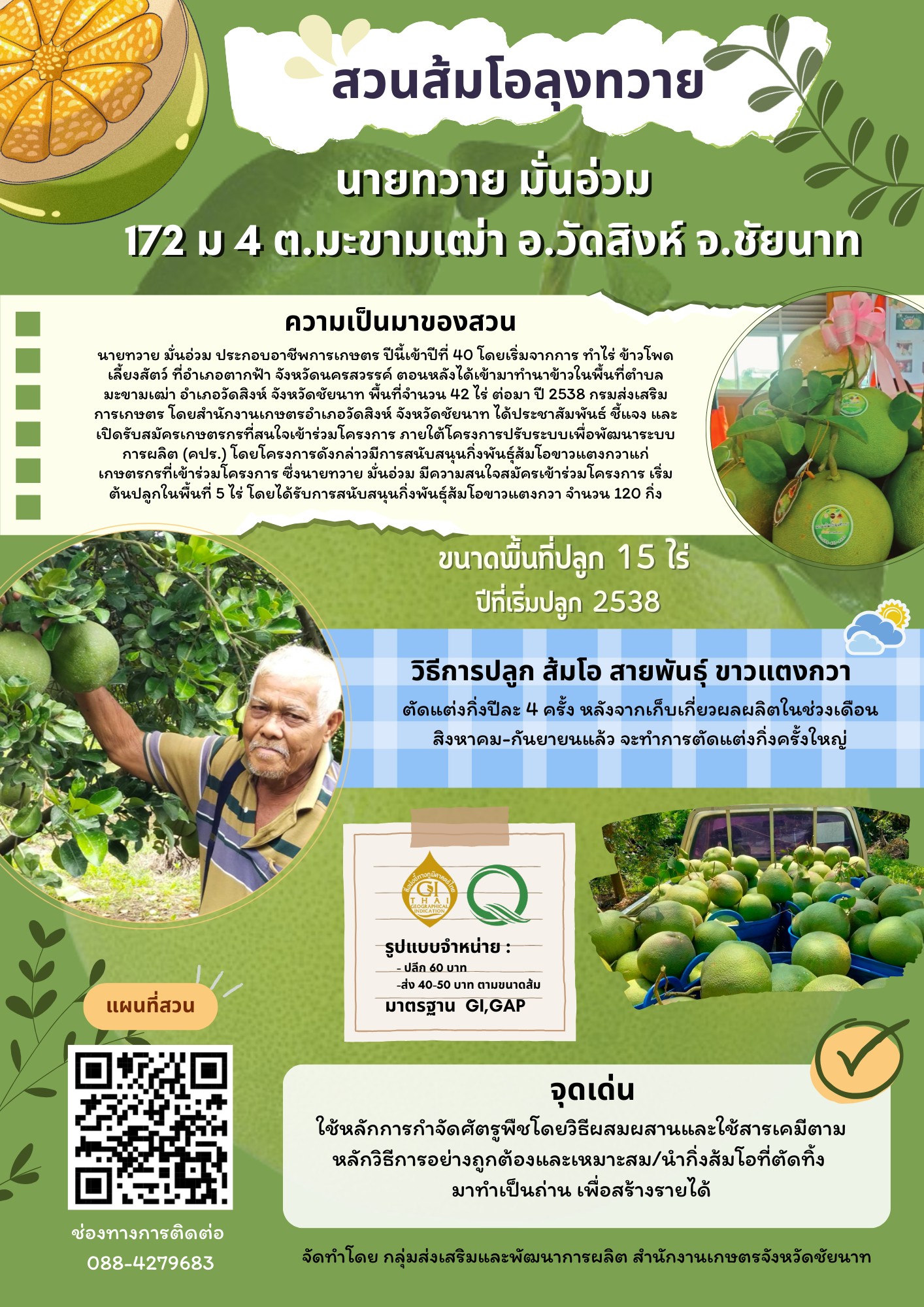 สวนส้มโอลุงทวาย (ส้มโอขาวแตงกวา : ผลไม้ GI ของดีประจำจังหวัดชัยนาท)