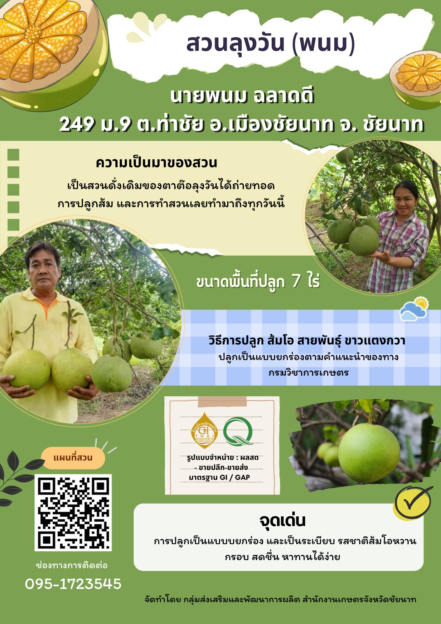 สวนส้มโอลุงวัน (พนม) (ส้มโอขาวแตงกวา : ผลไม้ GI ของดีประจำจังหวัดชัยนาท)