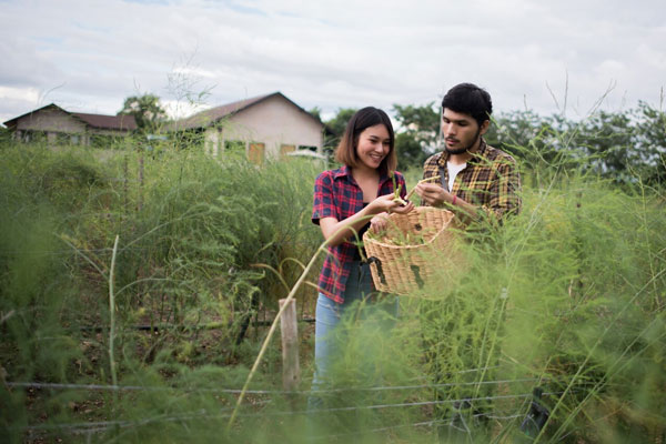 Lorem ipsum dolor sit amet consectetur adipisicing elit 12